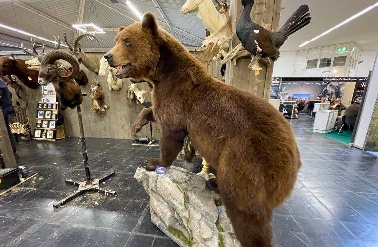 Bärentrophäe auf der Jagd & Hund in Dortmund, 2026