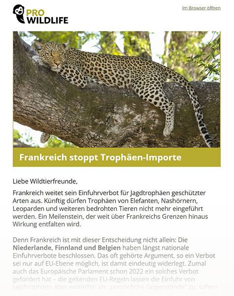 newsletter pro wildlife