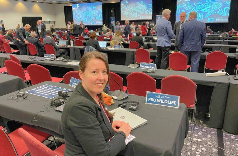 Dr. Mona Schweizer (Pro Wildlife) auf der IWC-Tagung 2026