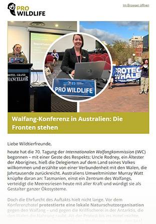 newsletter pro wildlife