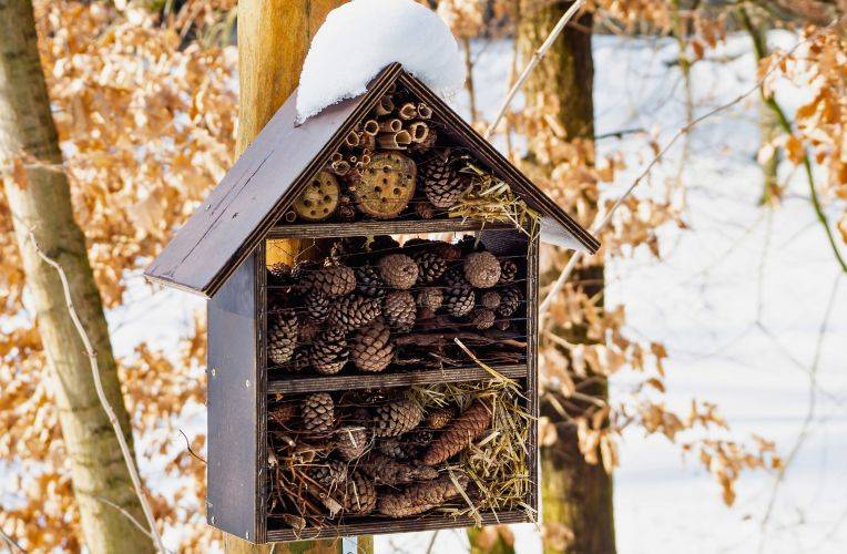 Wildtierschutz im Winter: Insektenhotel