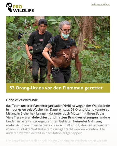 newsletter pro wildlife